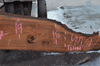 Elm Slab 123019-03