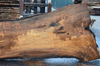 Elm Slab 020718-08