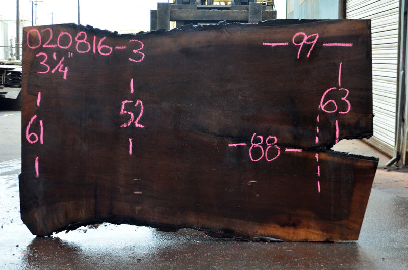 Oregon Black Walnut Slab 020816-03