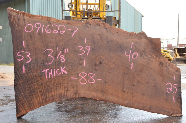 Oregon Black Walnut Slab 091622-07