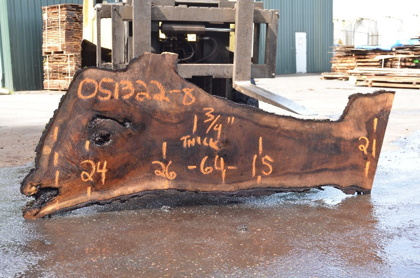 Oregon Black Walnut Slab 051322-08