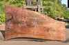 Oregon Black Walnut Slab 072722-02