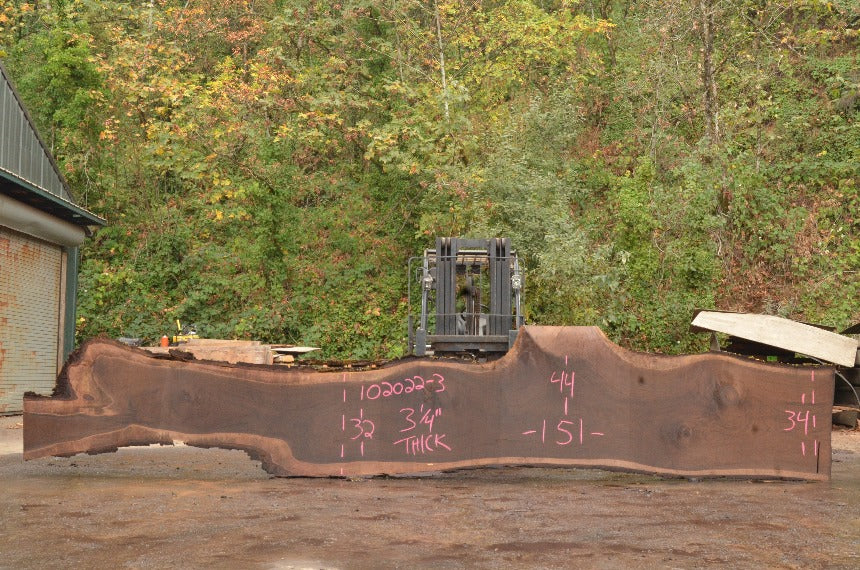 Oregon Black Walnut Slab 102022-03