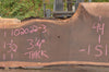 Oregon Black Walnut Slab 102022-03