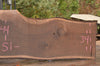 Oregon Black Walnut Slab 102022-03