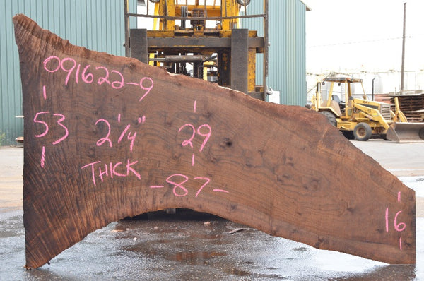 Oregon Black Walnut Slab 091622-09
