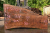 Oregon Black Walnut Slab 072722-03