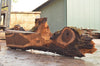 Oregon Black Walnut Slab 102022-04