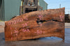 Oregon Black Walnut Slab 072722-05