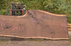 Oregon Black Walnut Slab 102022-05