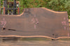 Oregon Black Walnut Slab 102022-06