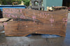 Oregon Black Walnut Slab 082321-07
