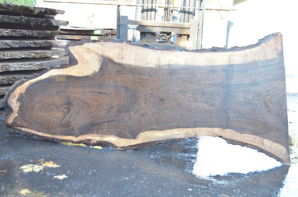 Oregon Black Walnut Slab 103021-10