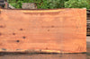Redwood Slab 080122-03