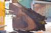 Oregon Black Walnut Slab 091922-10