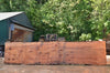 Redwood Slab 080122-04