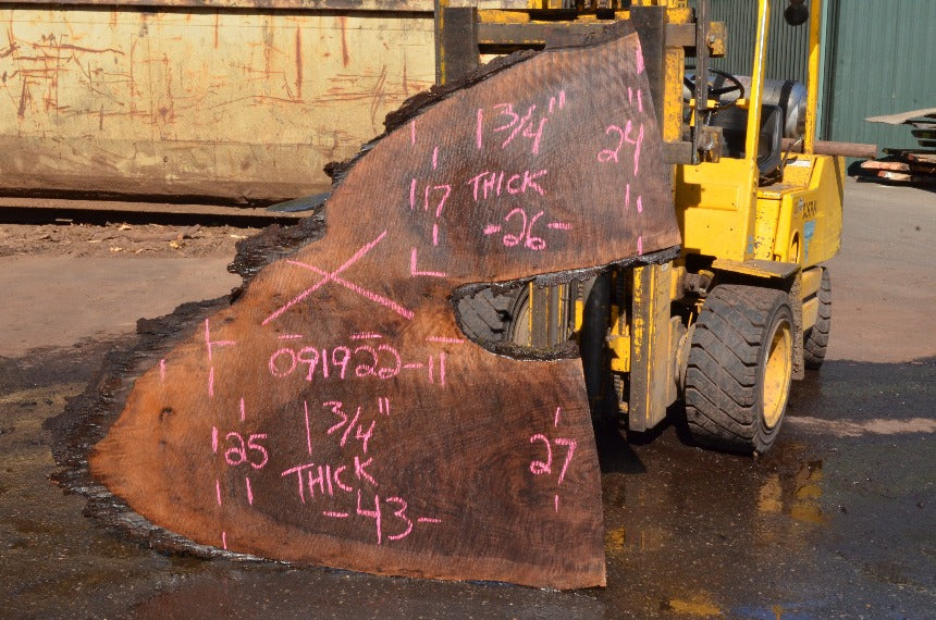 Oregon Black Walnut Slab 091922-11