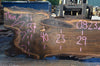 Oregon Black Walnut Slab 082321-11