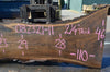 Oregon Black Walnut Slab 082321-11