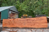 Redwood Slab 080922-04