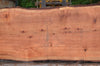 Redwood Slab 080922-04