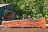 Redwood Slab 080122-08