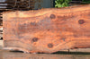 Redwood Slab 080122-08