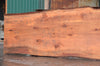 Redwood Slab 080922-05