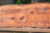 Redwood Slab 080122-08