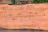 Redwood Slab 080922-05