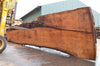 Redwood Slab 080922-06