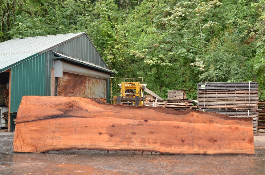 Redwood Slab 080922-06