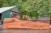 Redwood Slab 080922-06