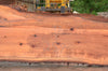 Redwood Slab 080922-06