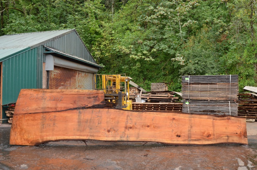 Redwood Slab 080922-07