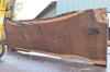 Oregon Black Walnut Slab 092222-02