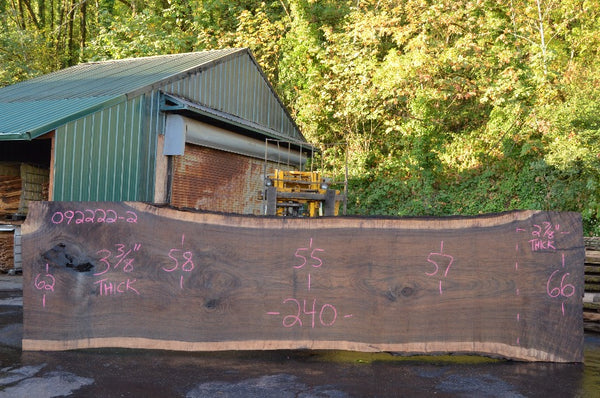 Oregon Black Walnut Slab 092222-02