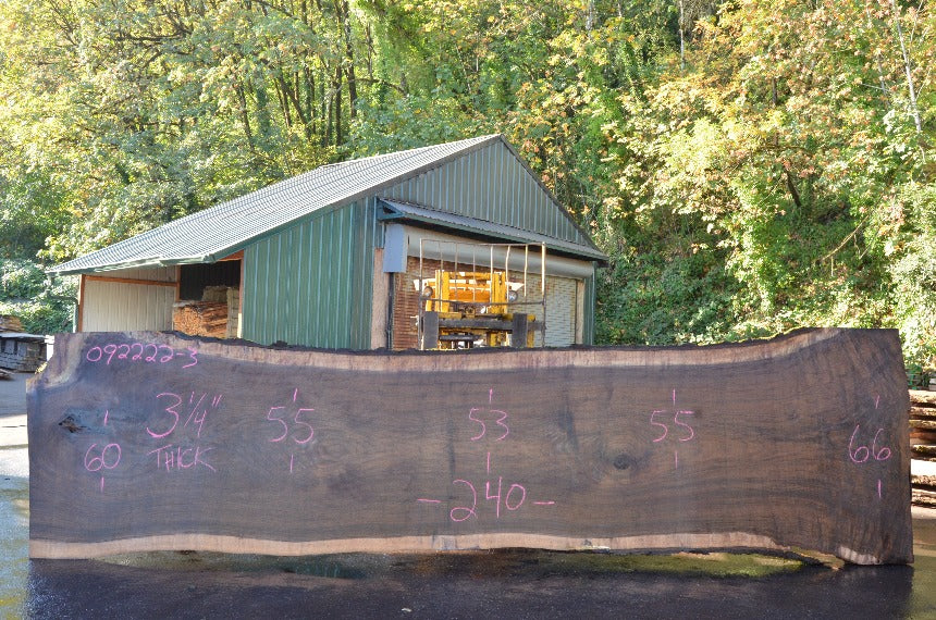 Oregon Black Walnut Slab 092222-03