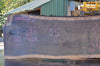 Oregon Black Walnut Slab 092222-03