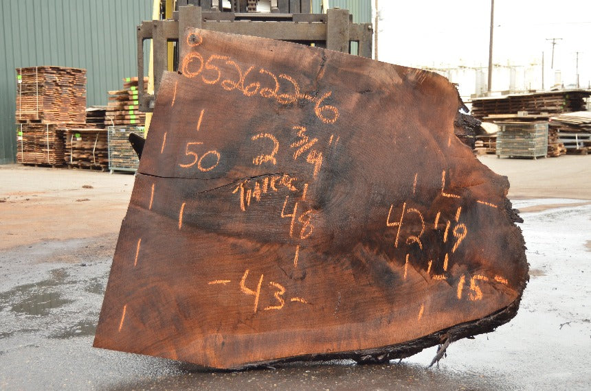 Oregon Black Walnut Slab 052622-06