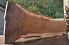 Oregon Black Walnut Slab 092222-06