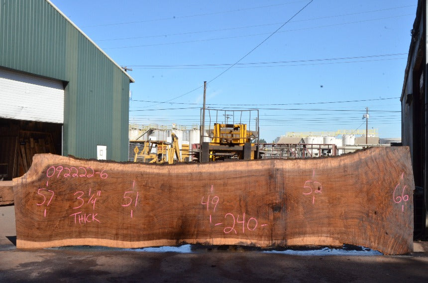 Oregon Black Walnut Slab 092222-06
