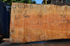 Big Leaf Maple Slab 072121-08