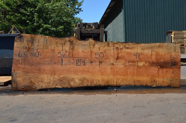 Big Leaf Maple Slab 072121-09