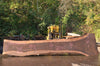 Oregon Black Walnut Slab 092222-10
