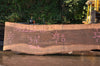 Oregon Black Walnut Slab 092222-10