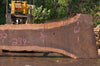 Oregon Black Walnut Slab 092222-10