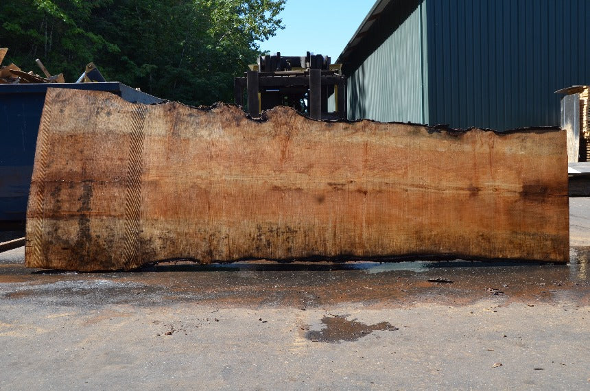Big Leaf Maple Slab 072121-10