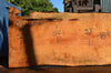 Big Leaf Maple Slab 072121-11