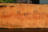 Big Leaf Maple Slab 072121-11